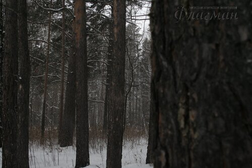 _MG_4807_r